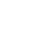 Play Icon